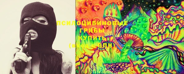 прущая мука Гусь-Хрустальный